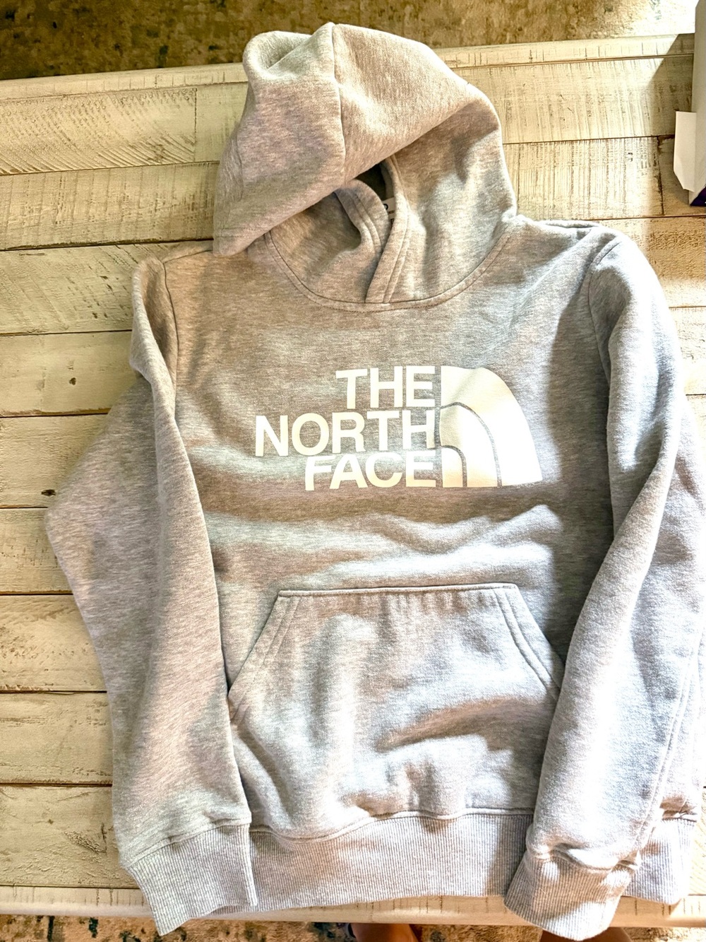 The North Face Kids Light Gray Logo Hoodie